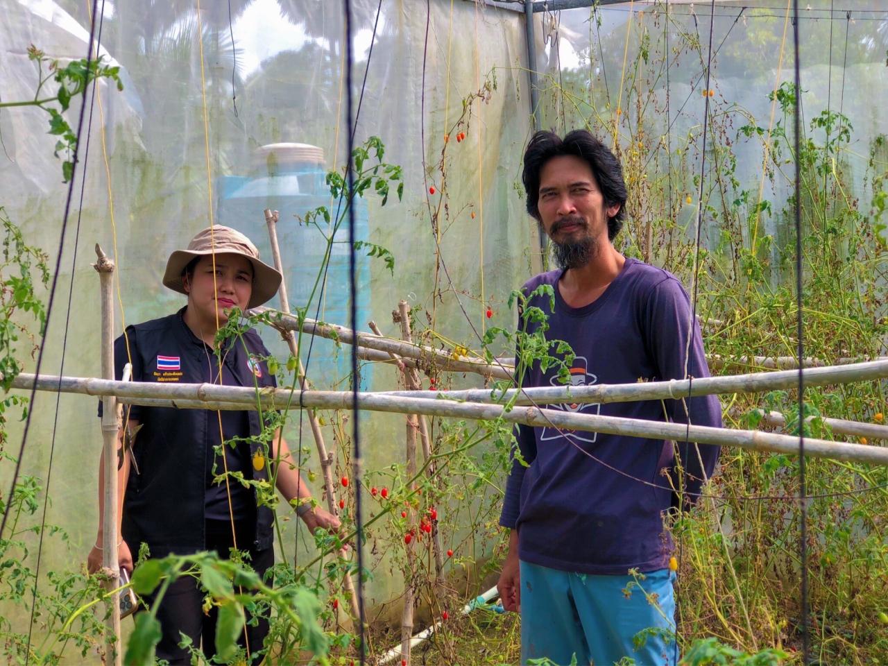 ภาพประกอบที่ 3