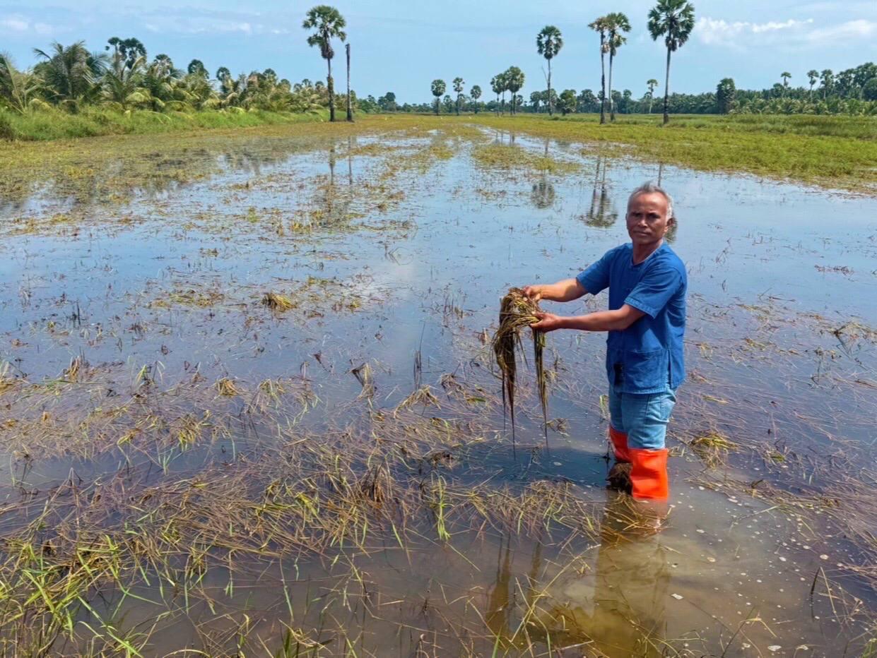 ภาพประกอบที่ 4