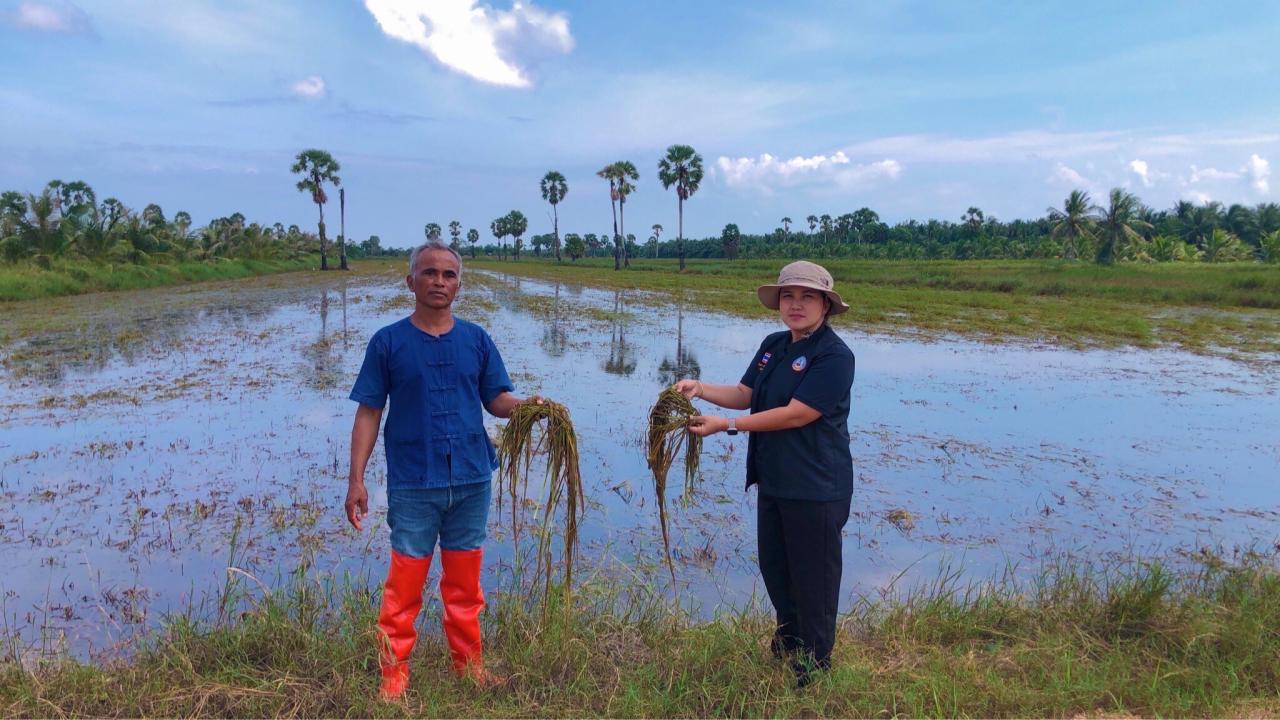 ภาพประกอบที่ 5