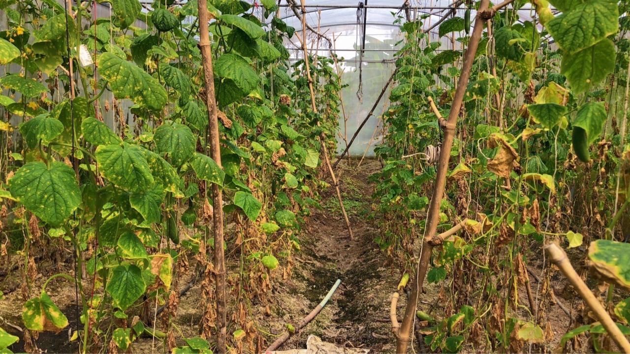 ภาพประกอบที่ 6