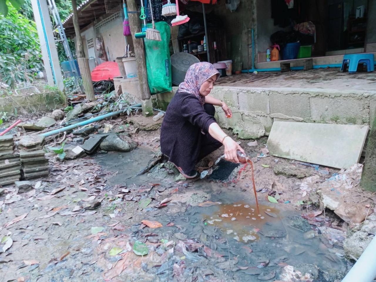 ภาพประกอบที่ 0