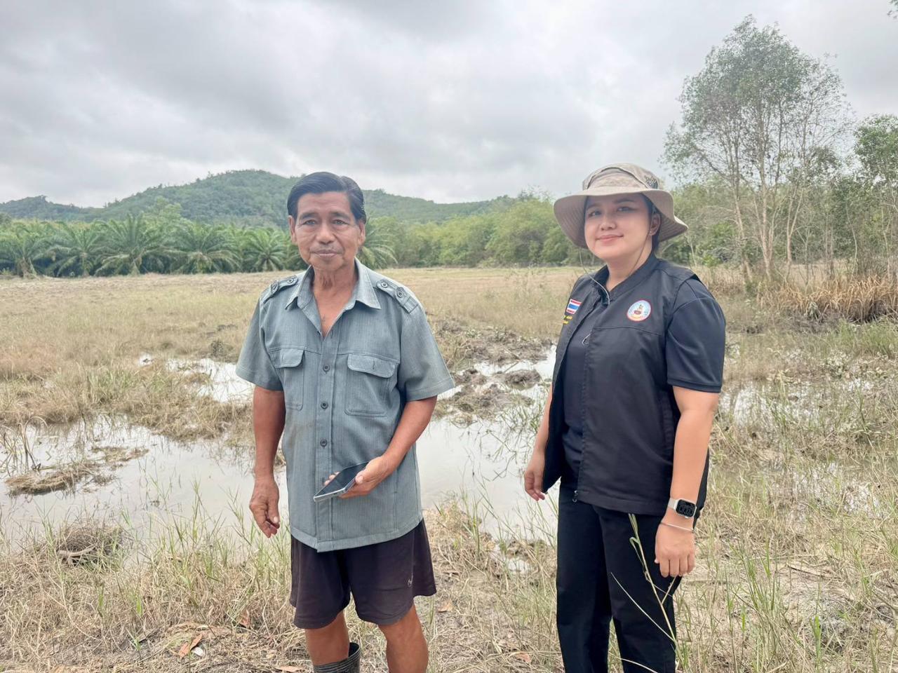 ภาพประกอบที่ 1