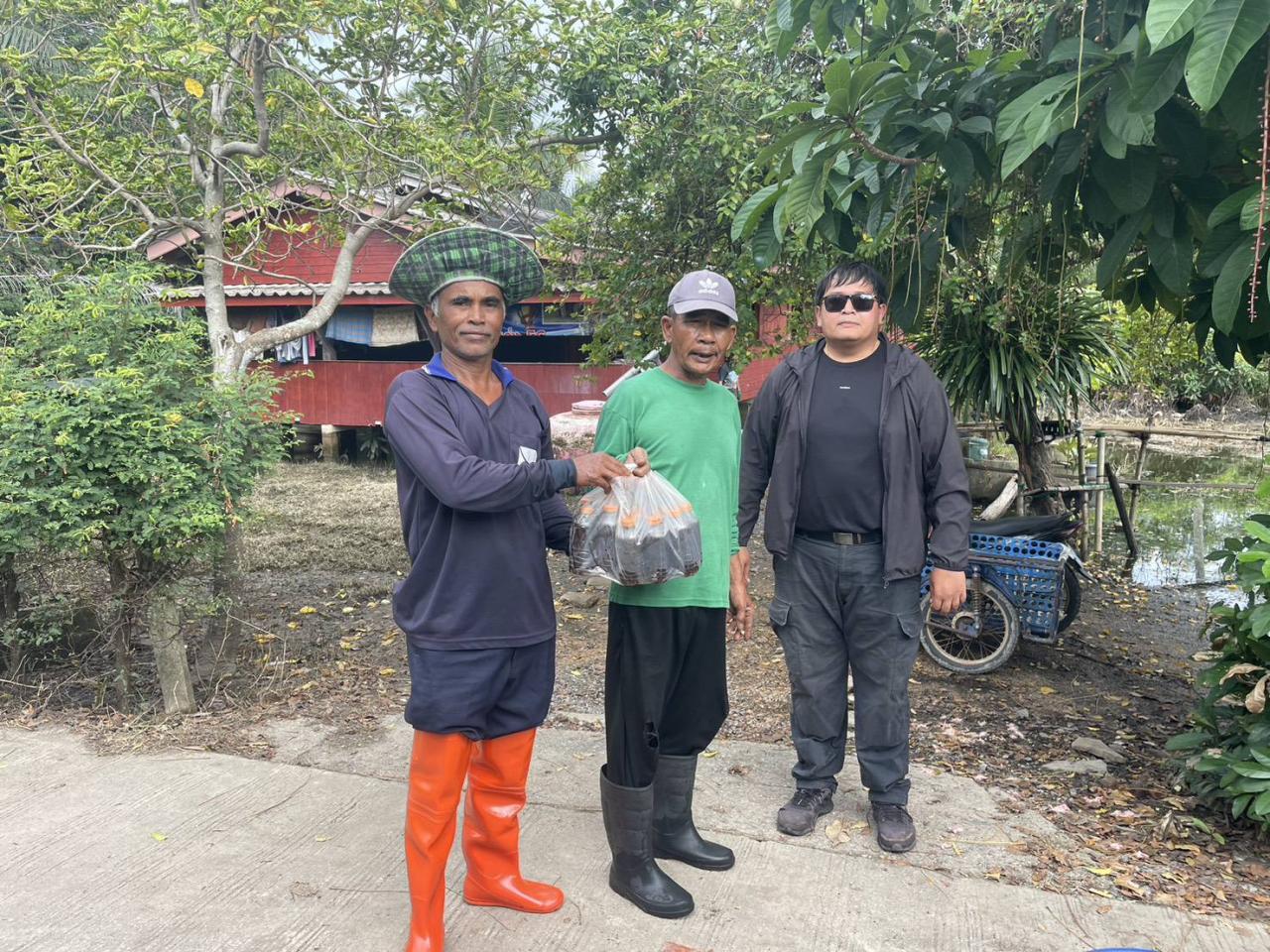 ภาพประกอบที่ 11