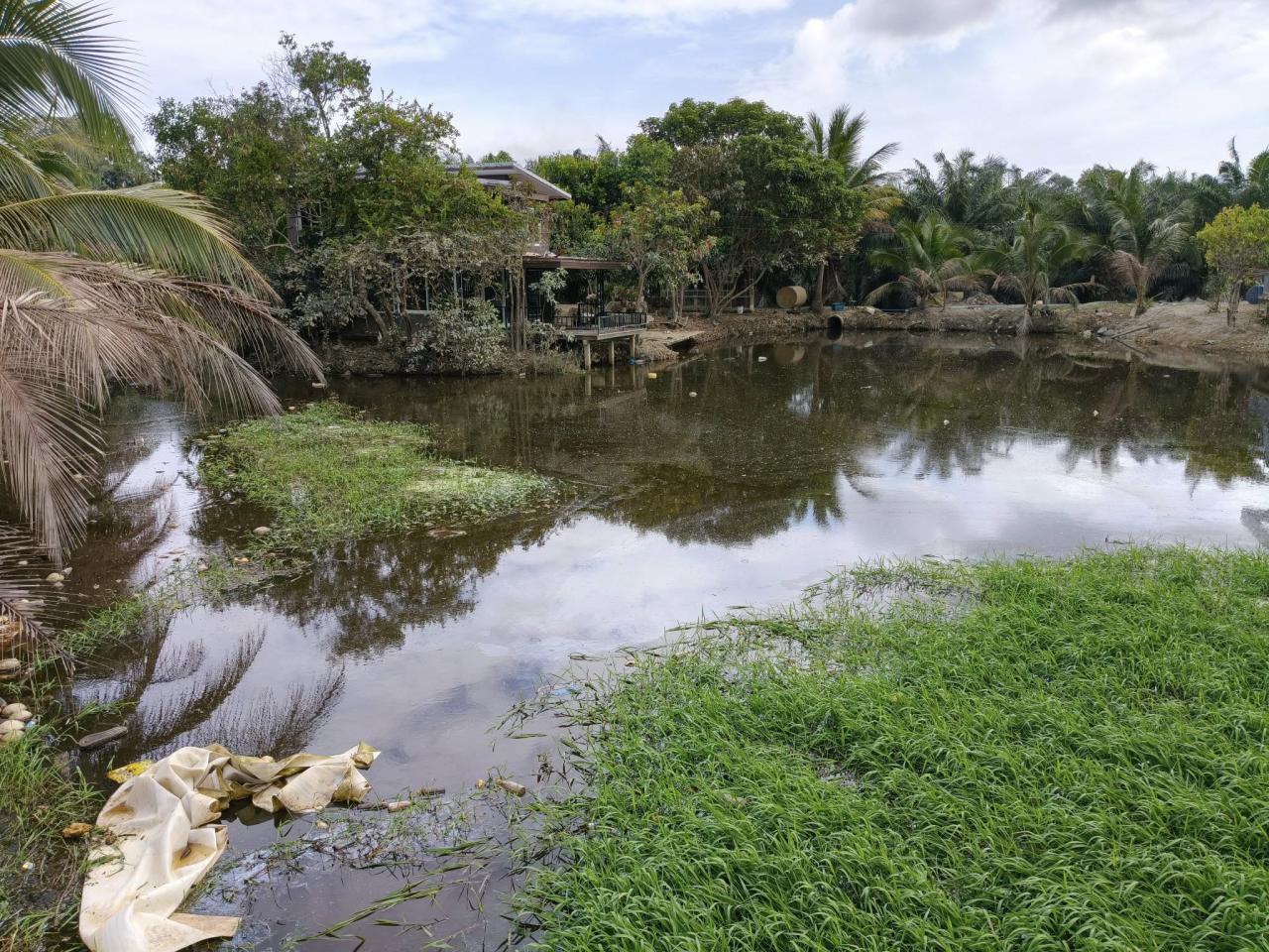 ภาพประกอบที่ 0