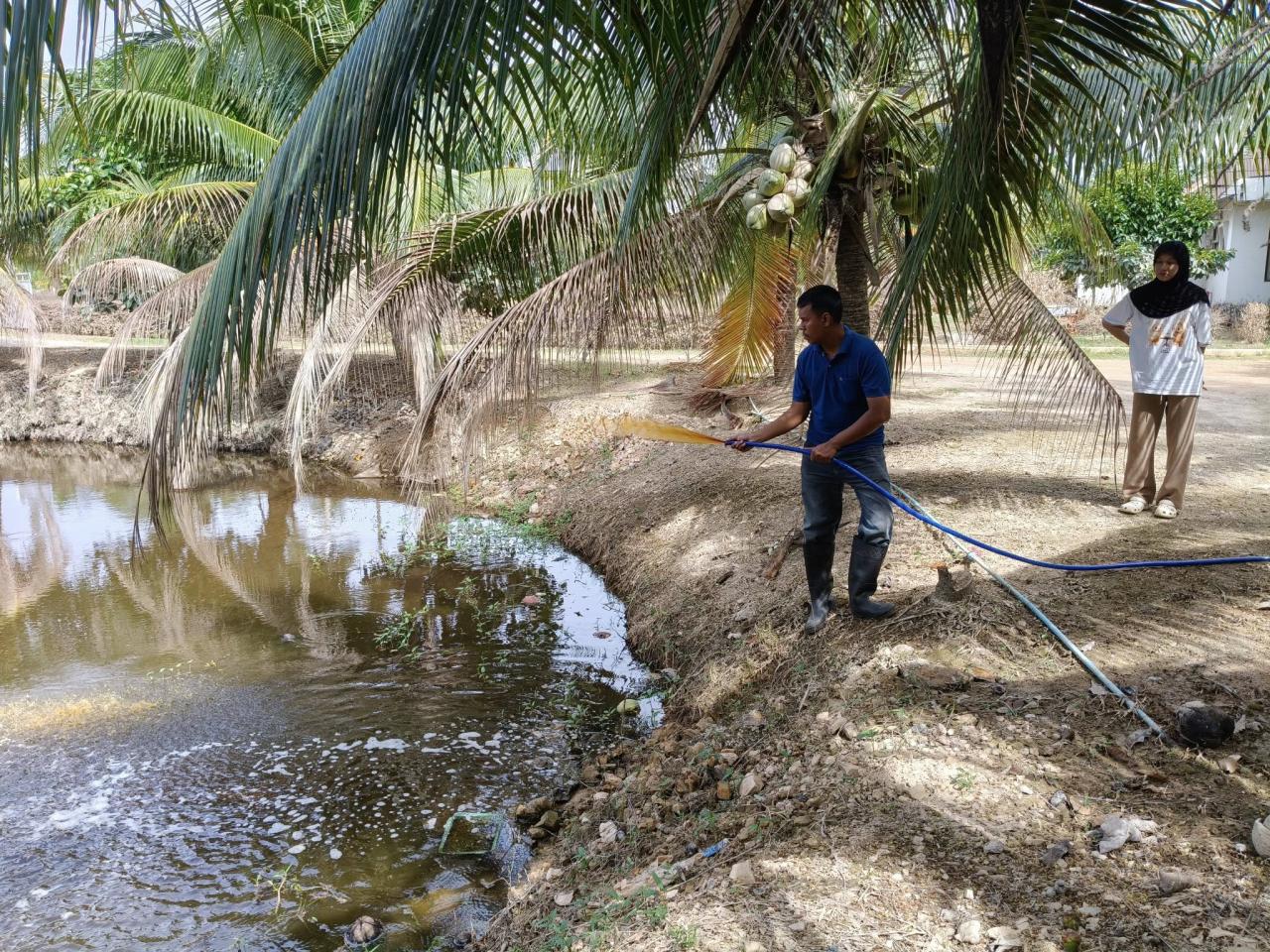 ภาพประกอบที่ 6
