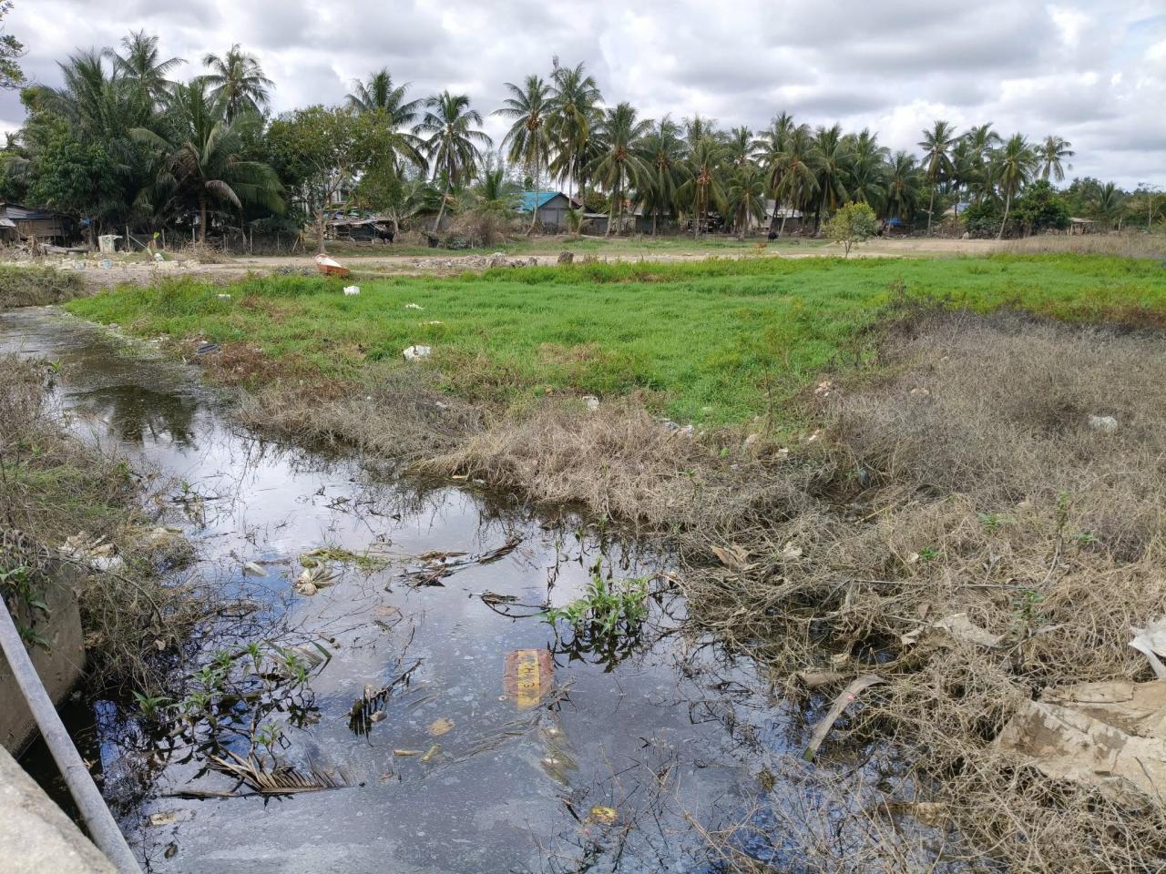 ภาพประกอบที่ 7