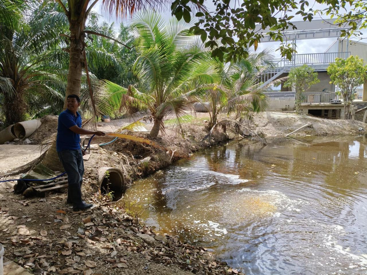 ภาพประกอบที่ 8