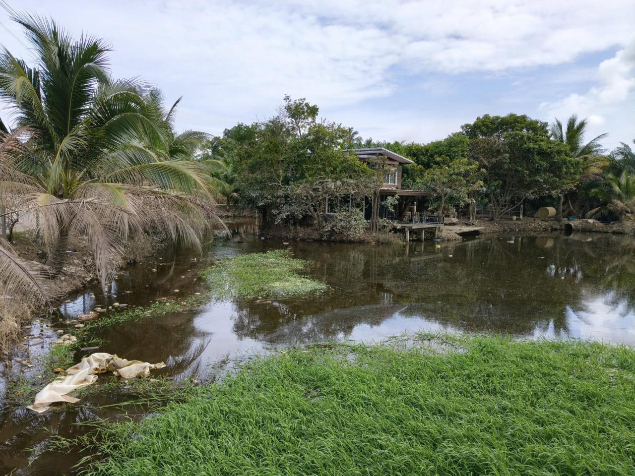 ภาพประกอบที่ 9