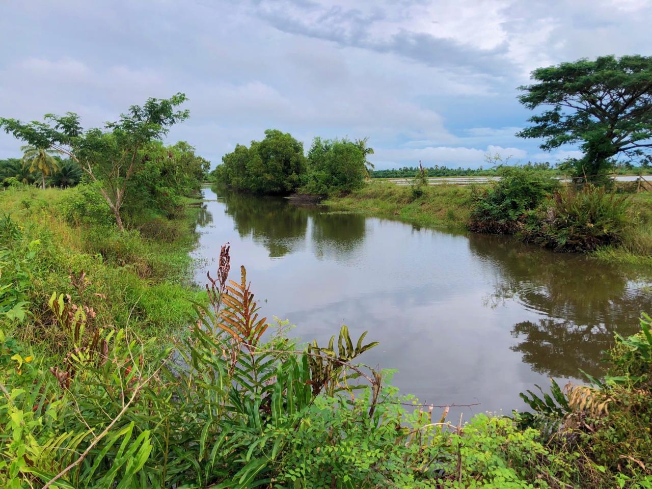ภาพประกอบที่ 5