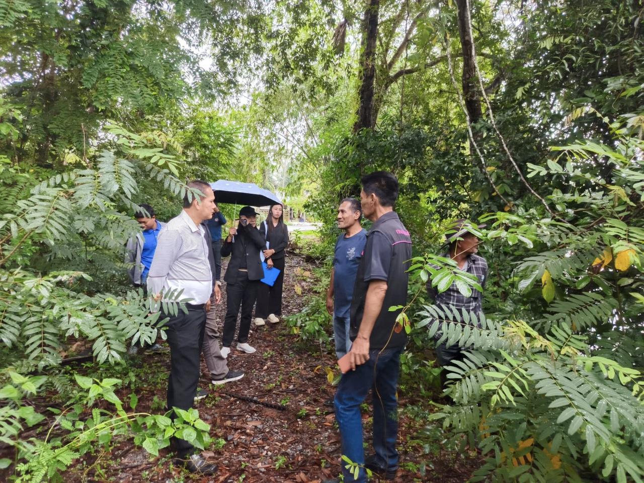 ภาพประกอบที่ 0
