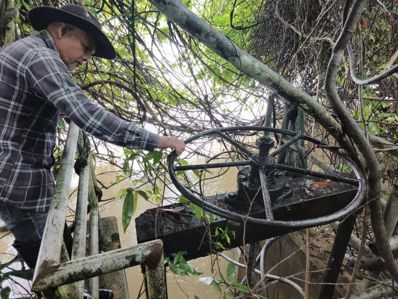 ภาพประกอบที่ 1