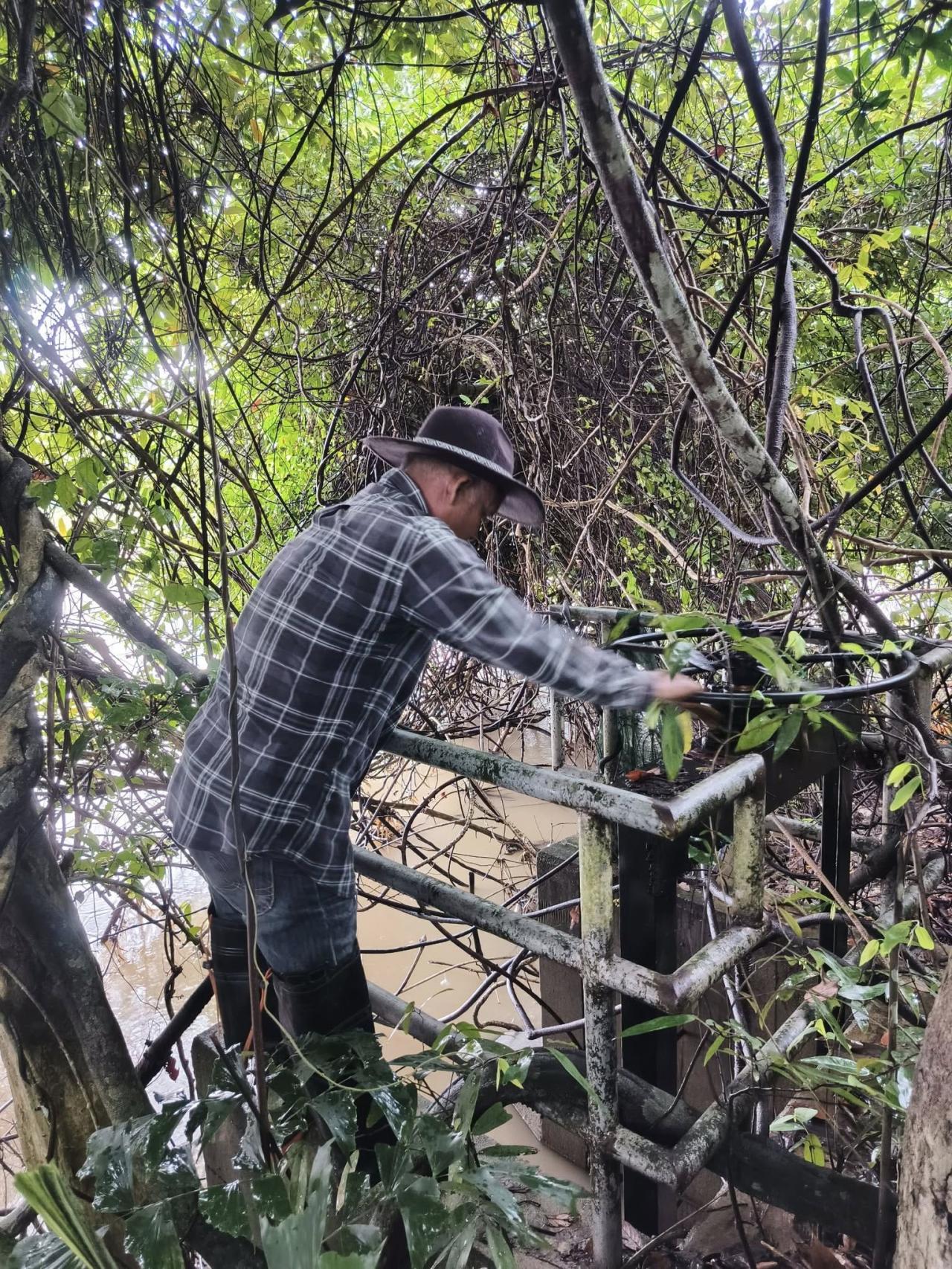 ภาพประกอบที่ 2