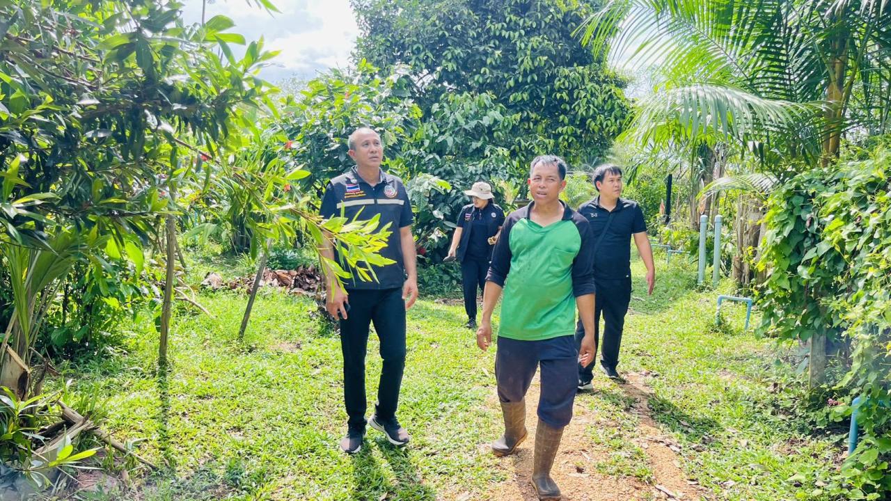 ภาพประกอบที่ 1