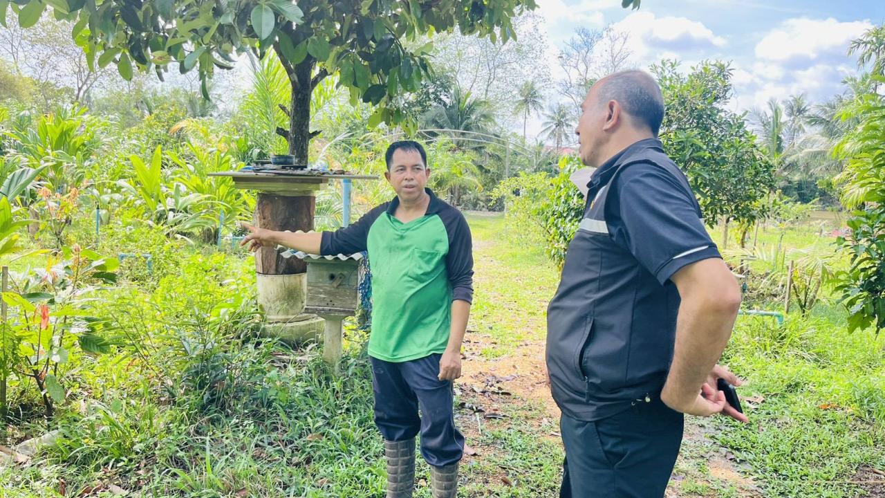 ภาพประกอบที่ 3