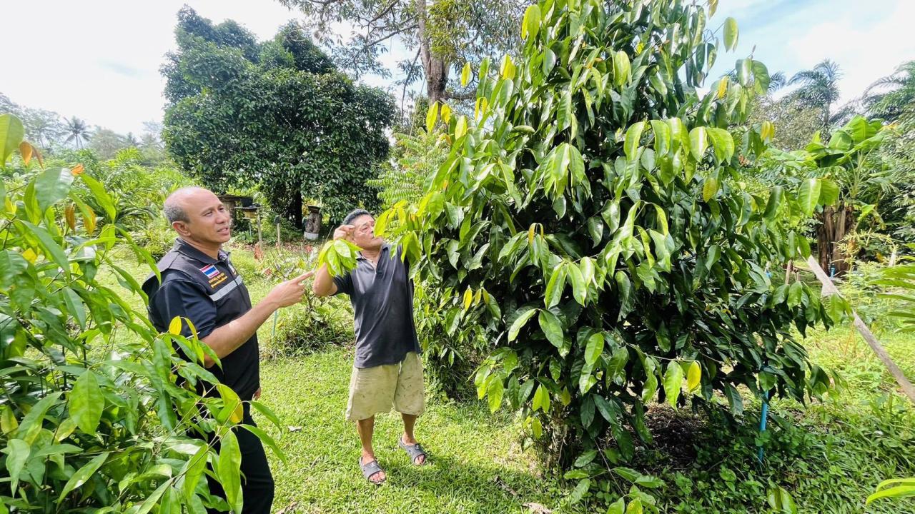 ภาพประกอบที่ 5