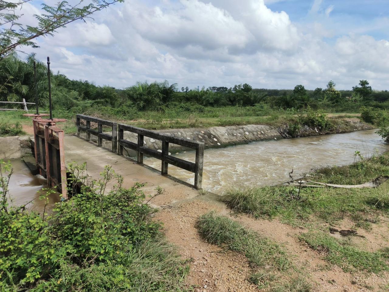 ภาพประกอบที่ 1