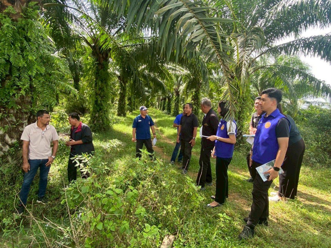 ภาพประกอบที่ 3