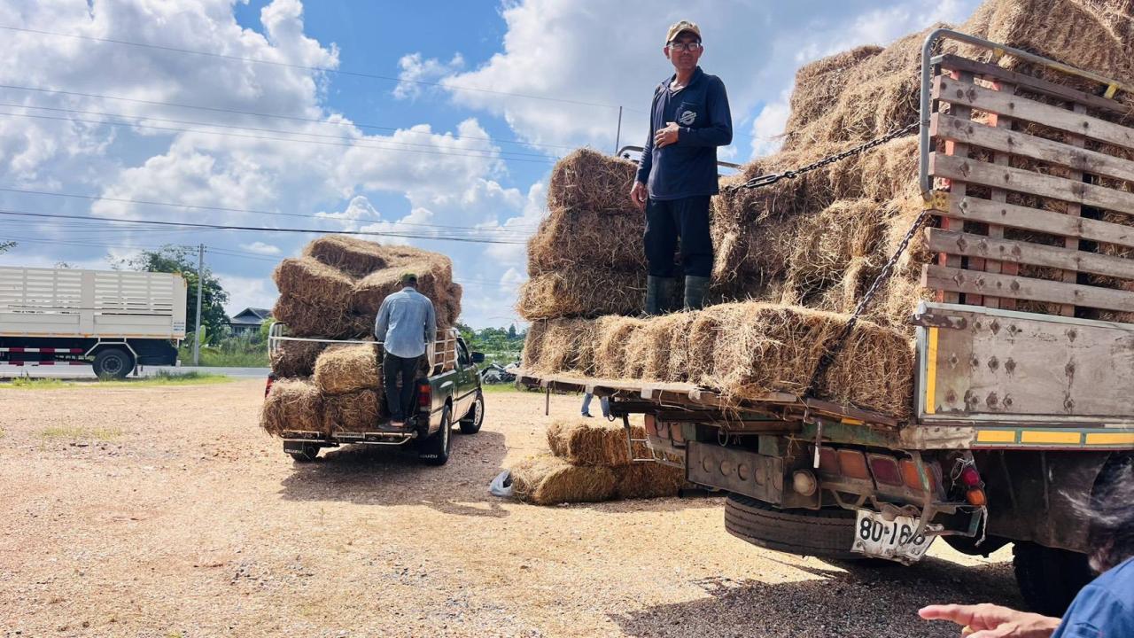 ภาพประกอบที่ 5