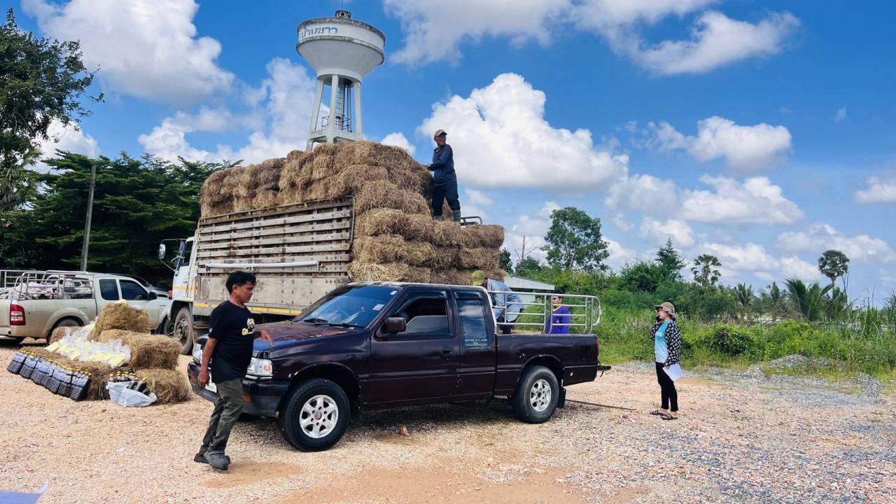 ภาพประกอบที่ 7