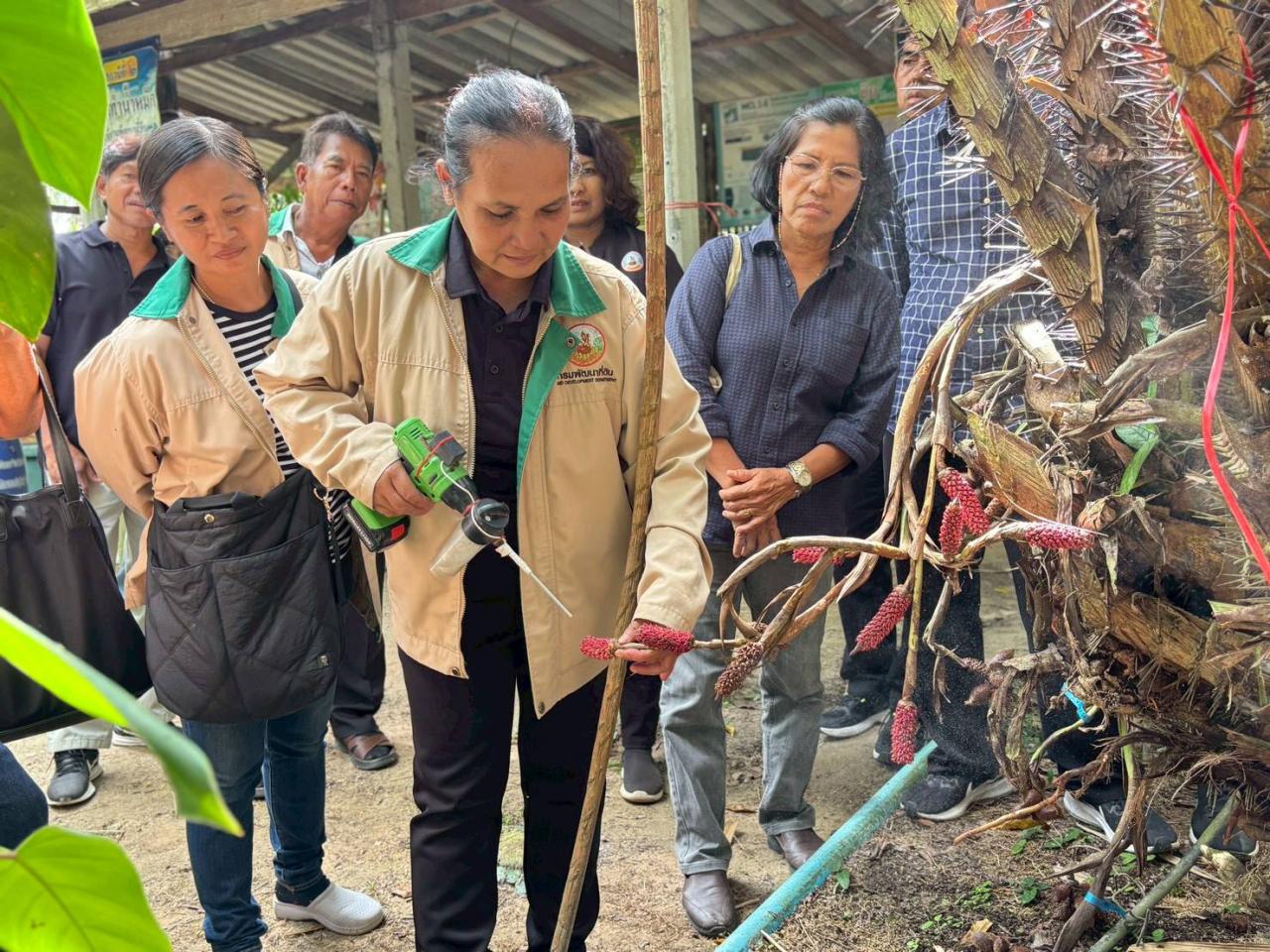 ภาพประกอบที่ 1