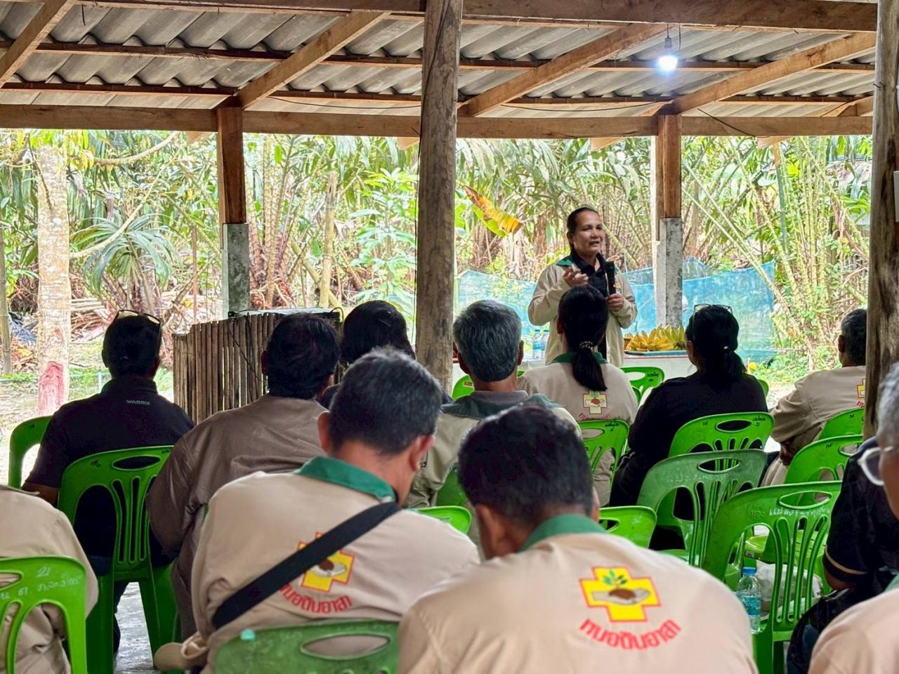 ภาพประกอบที่ 3