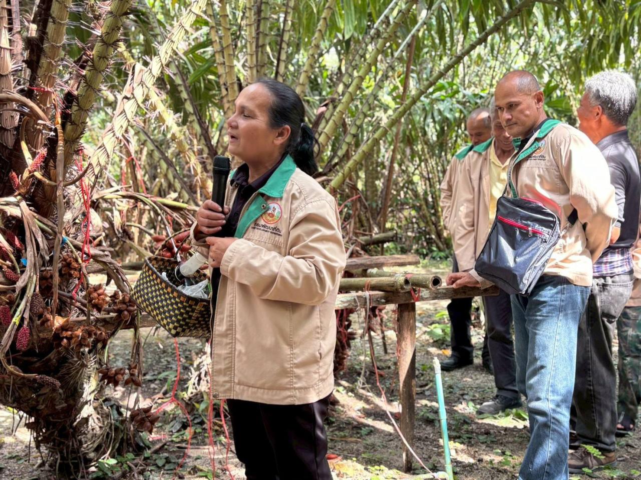 ภาพประกอบที่ 13