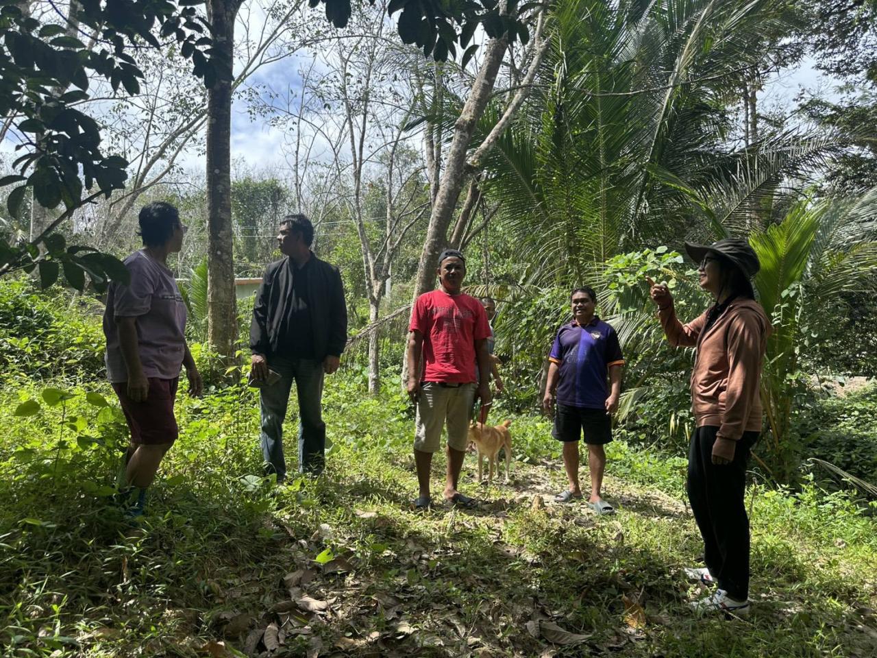 ภาพประกอบที่ 4