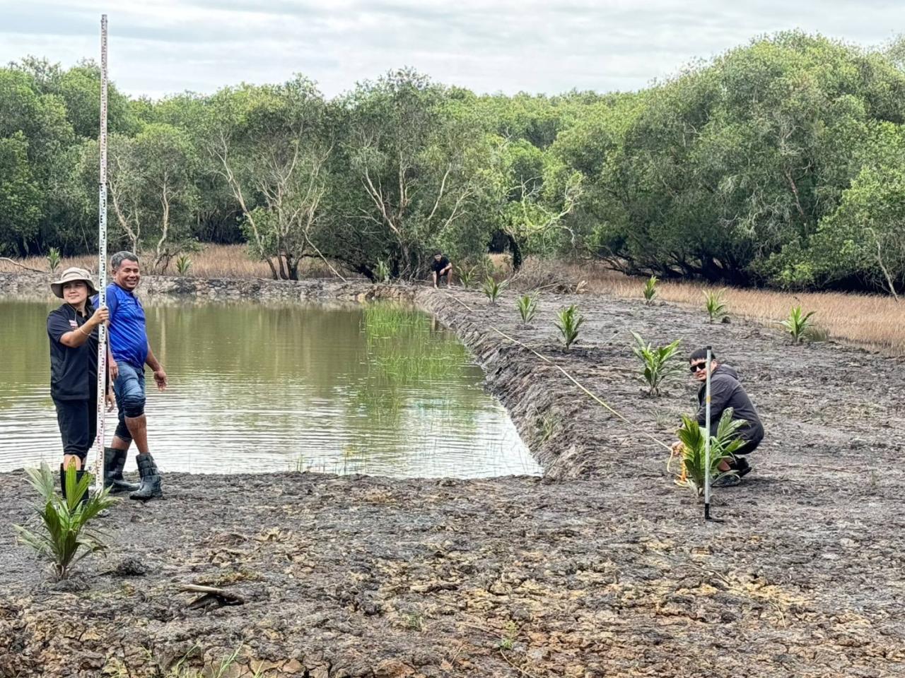 ภาพประกอบที่ 0