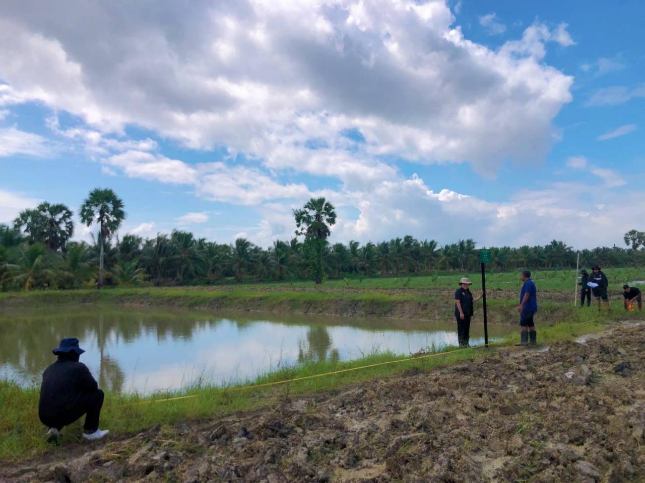 ภาพประกอบที่ 3