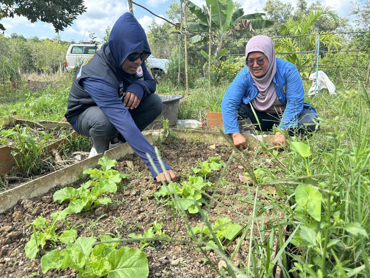 ภาพประกอบที่ 1