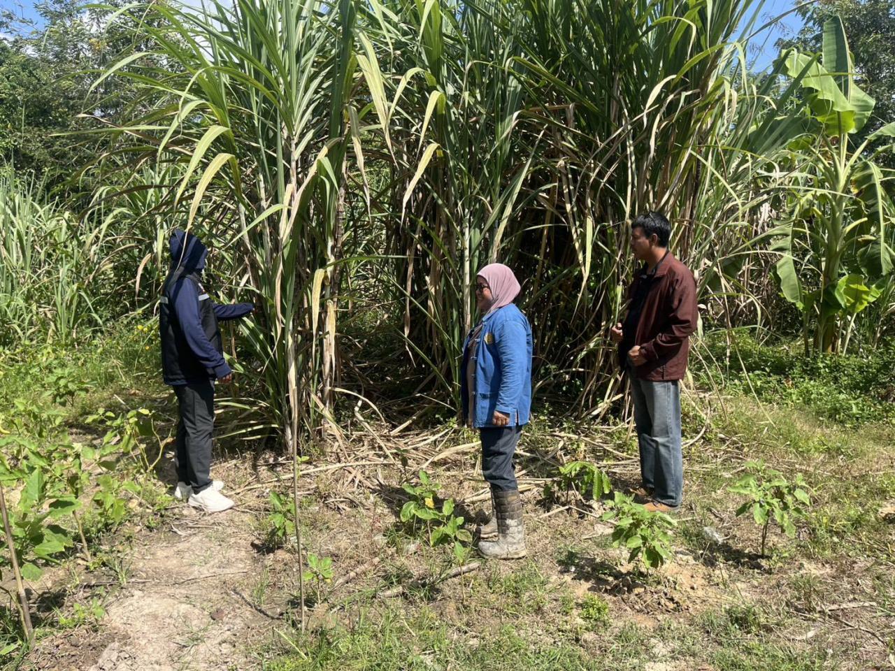 ภาพประกอบที่ 2