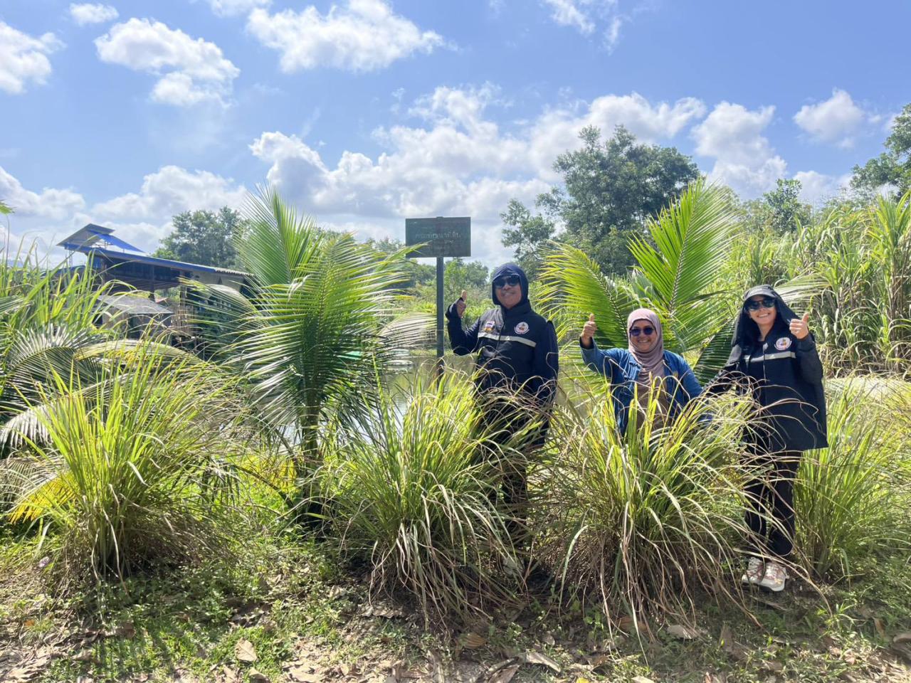 ภาพประกอบที่ 3