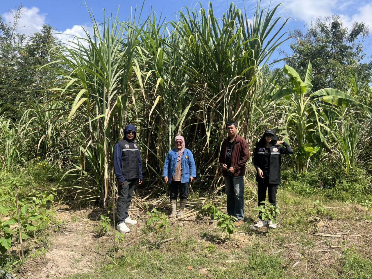 ภาพประกอบที่ 4