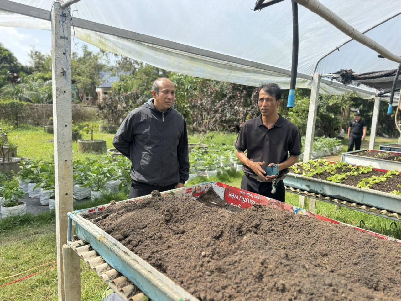 ภาพประกอบที่ 1