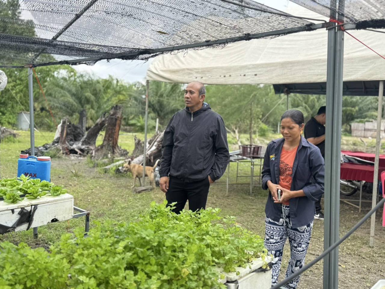 ภาพประกอบที่ 3