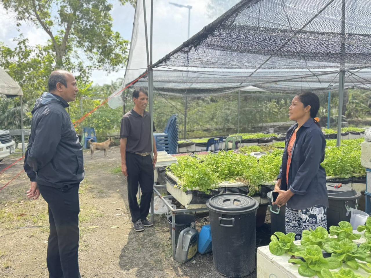 ภาพประกอบที่ 4