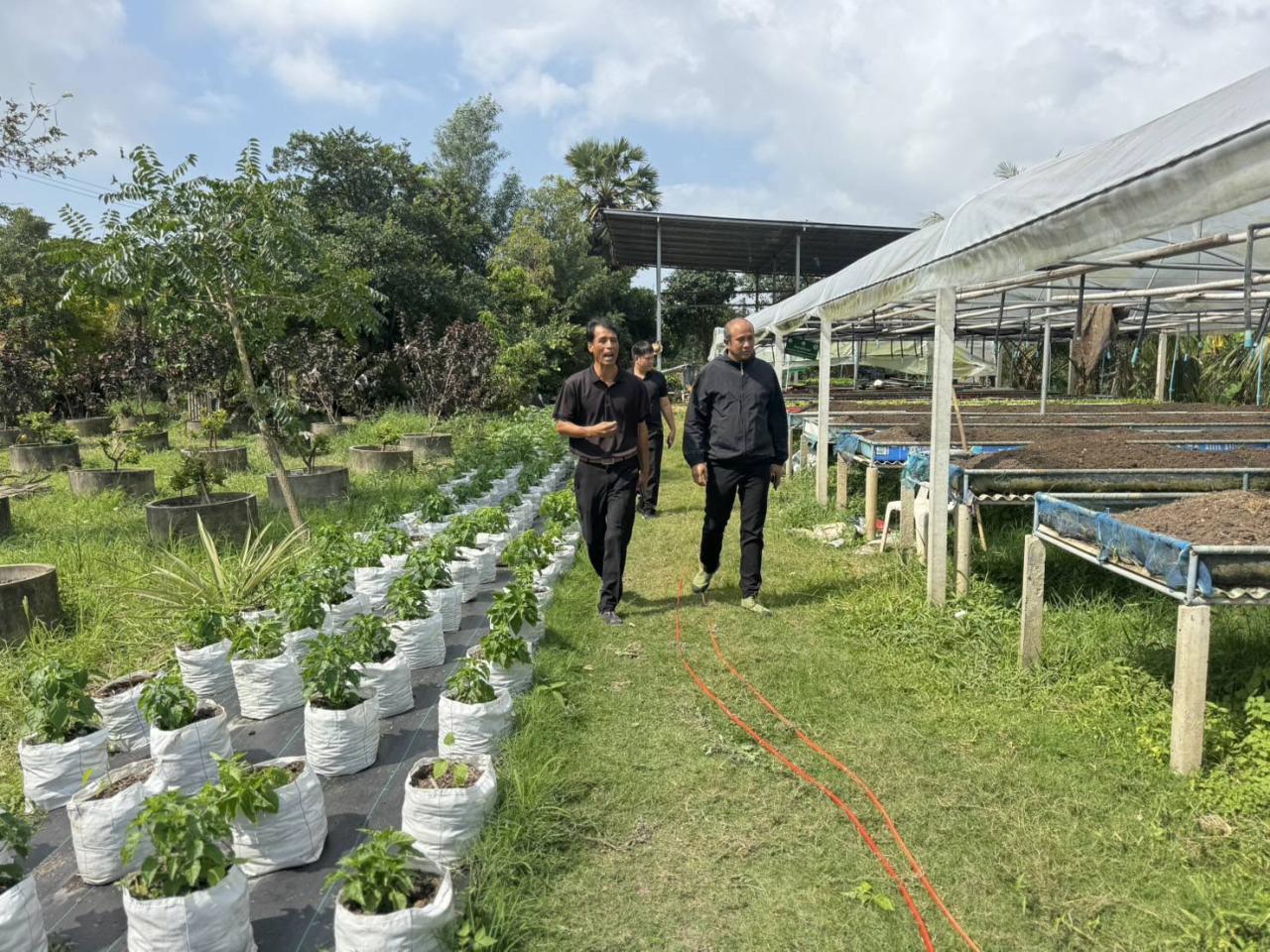 ภาพประกอบที่ 5