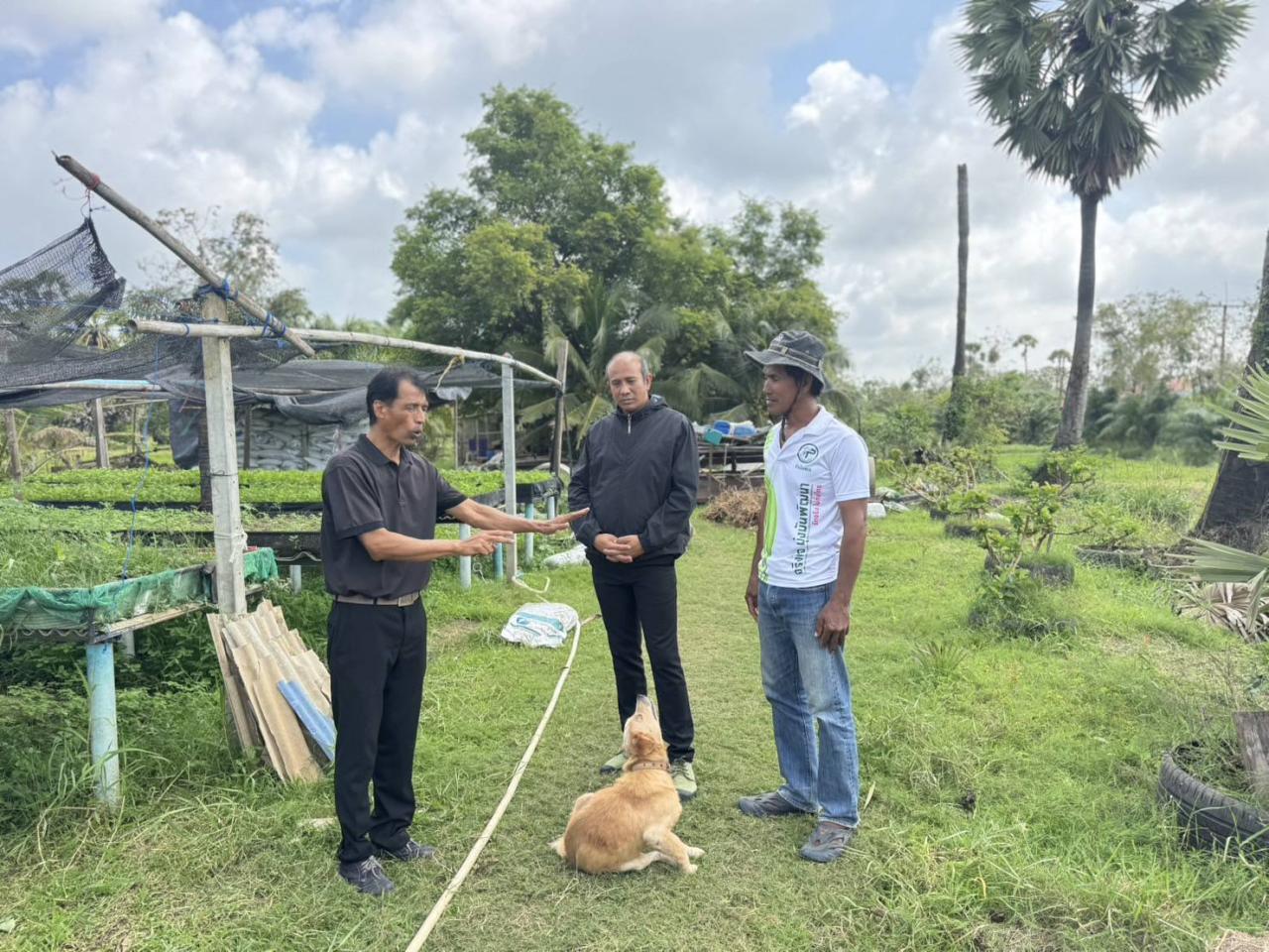 ภาพประกอบที่ 7