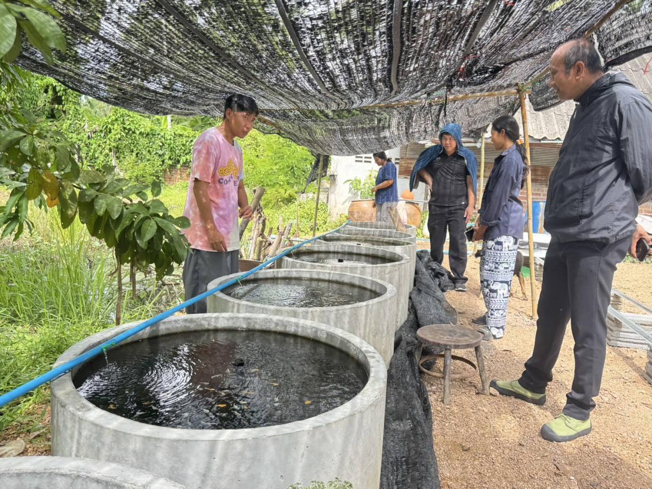 ภาพประกอบที่ 10