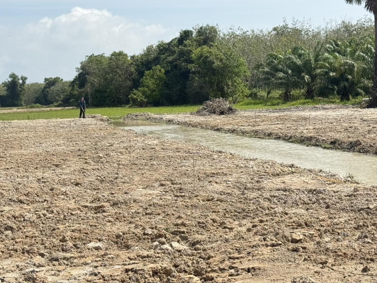 ภาพประกอบที่ 8