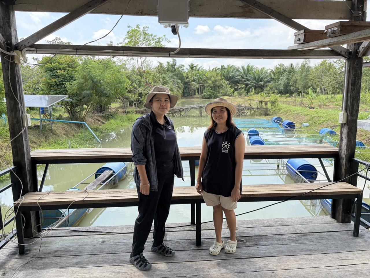 ภาพประกอบที่ 1