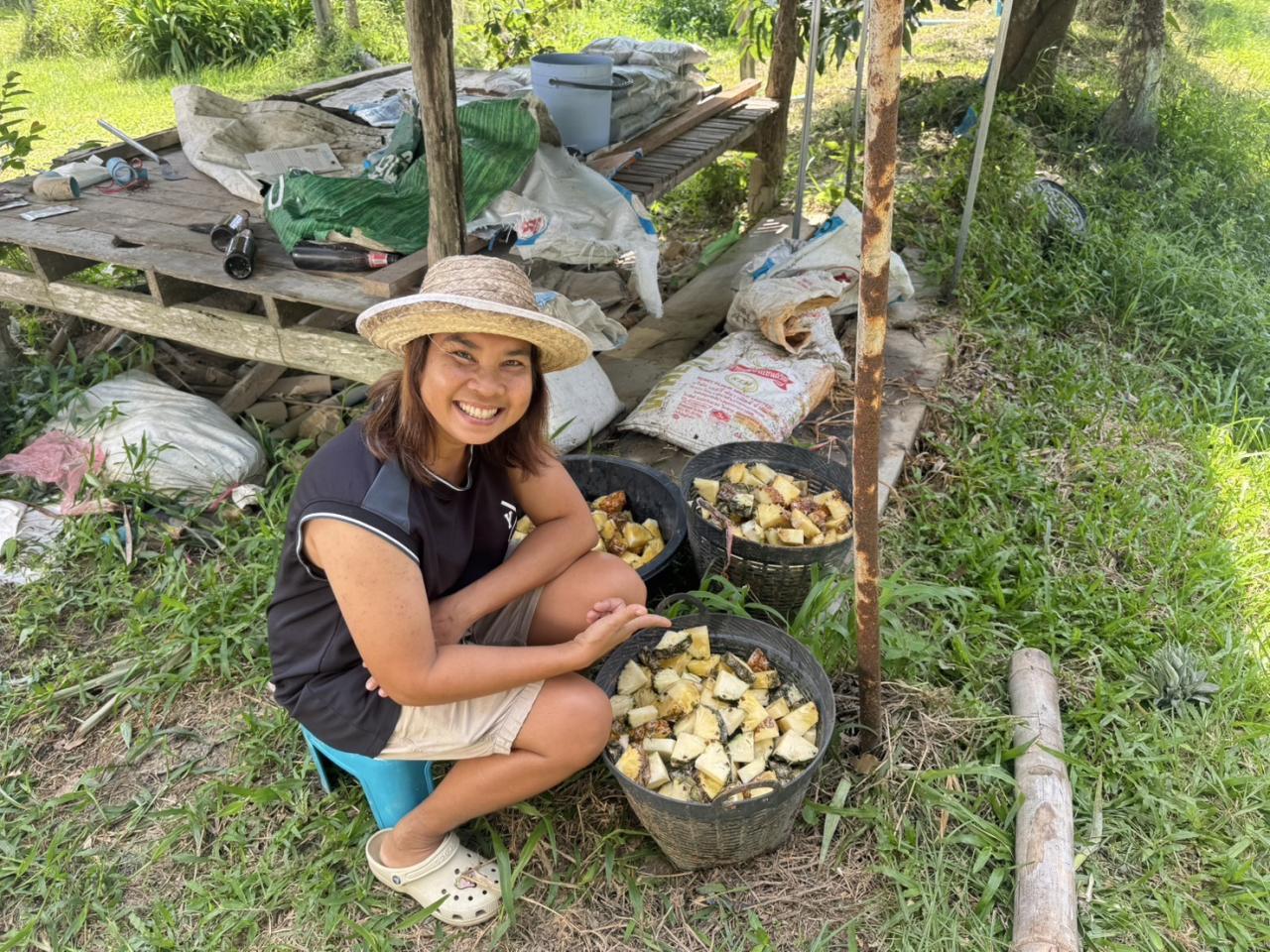 ภาพประกอบที่ 4