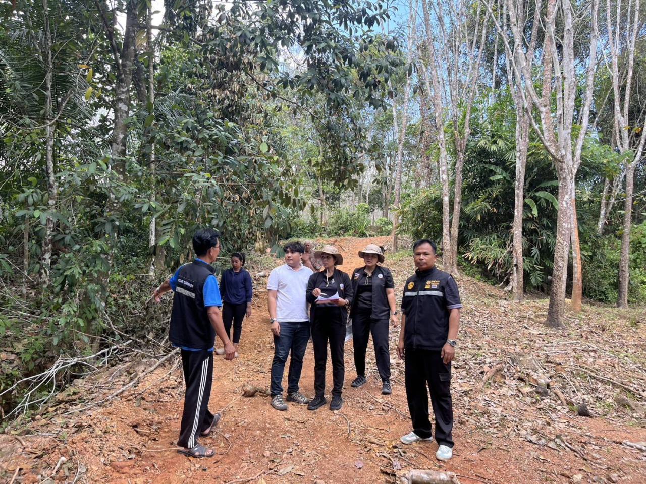 ภาพประกอบที่ 1