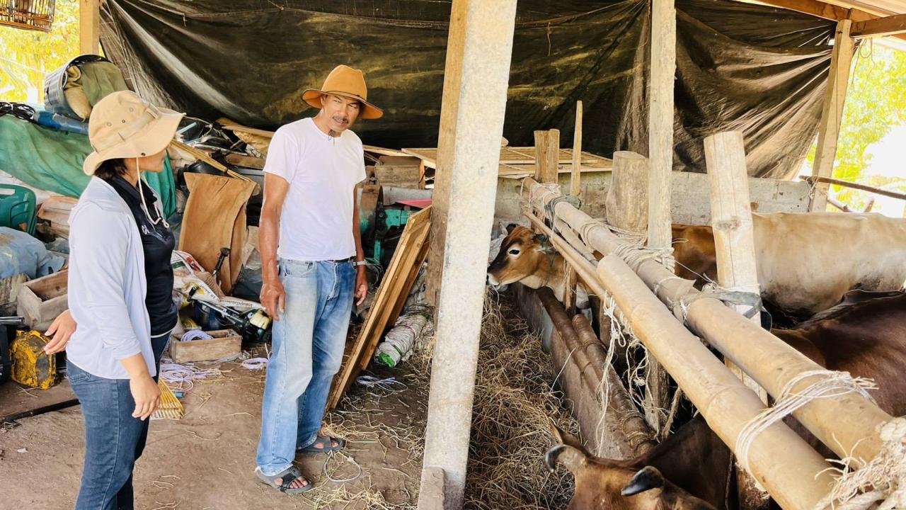 ภาพประกอบที่ 1