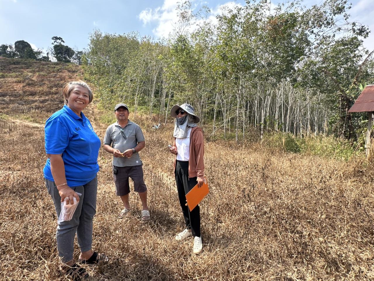ภาพประกอบที่ 0