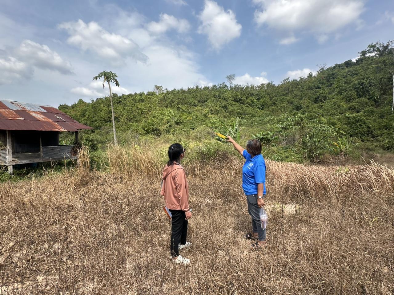 ภาพประกอบที่ 2