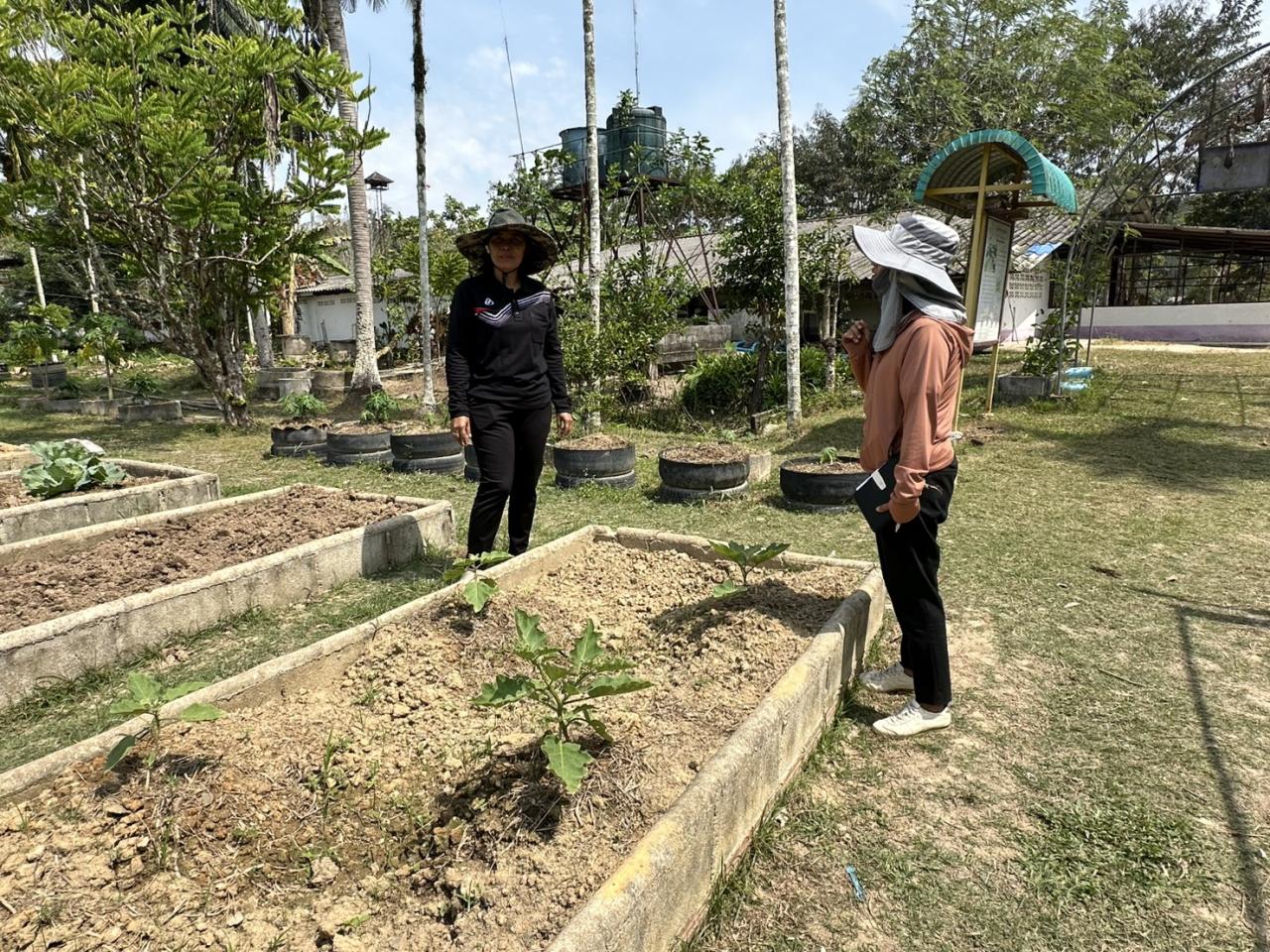 ภาพประกอบที่ 2