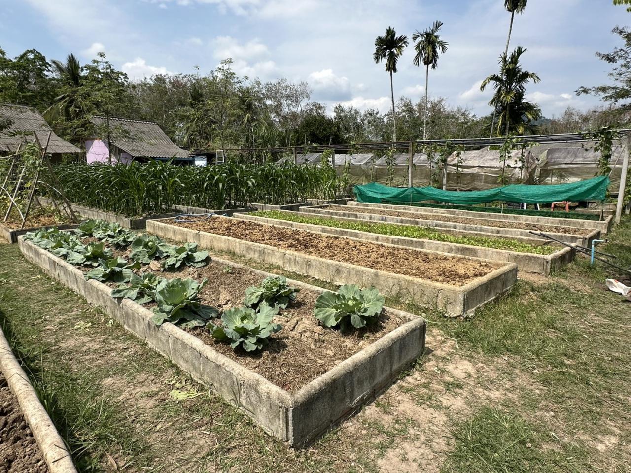 ภาพประกอบที่ 4