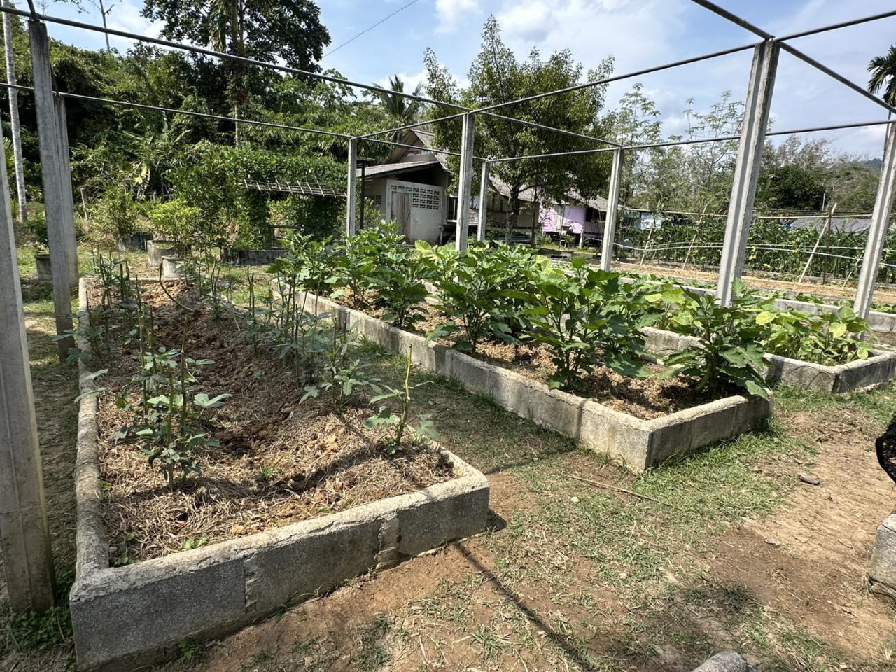 ภาพประกอบที่ 5