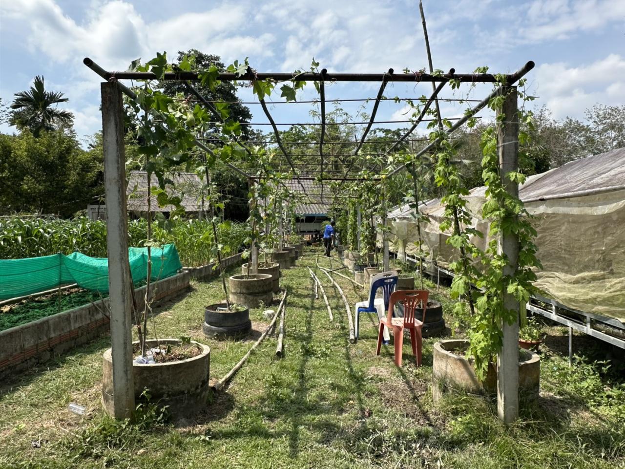 ภาพประกอบที่ 7